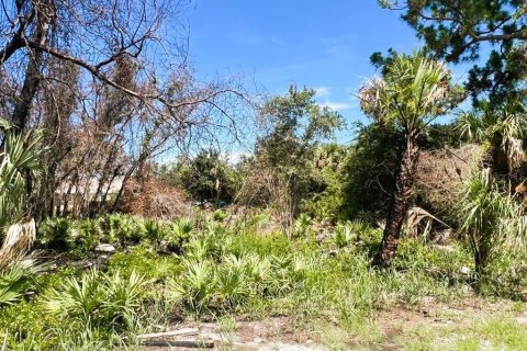 Land in Port Charlotte, Florida № 2164665 - photo 11