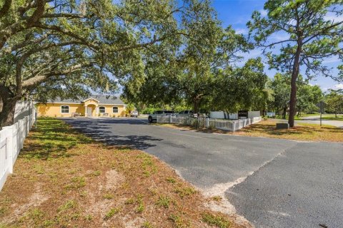 Propiedad comercial en alquiler en Port Richey, Florida, 183.11 m2 № 2388853 - foto 3
