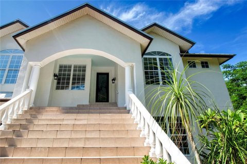 House in Wimauma, Florida 4 bedrooms, 335.84 sq.m. № 1881377 - photo 6