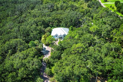 House in Wimauma, Florida 4 bedrooms, 335.84 sq.m. № 1881377 - photo 12