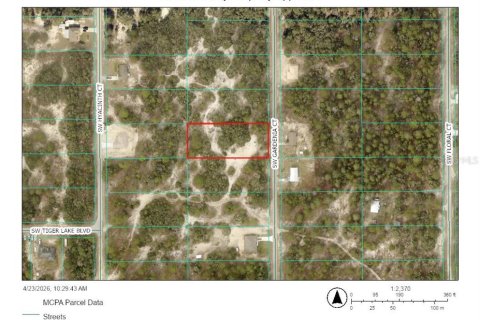 Land in Dunnellon, Florida № 2159361 - photo 2