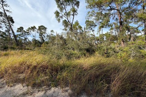 Land in Sebring, Florida № 2165189