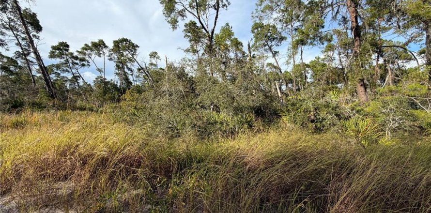Land in Sebring, Florida № 2165189