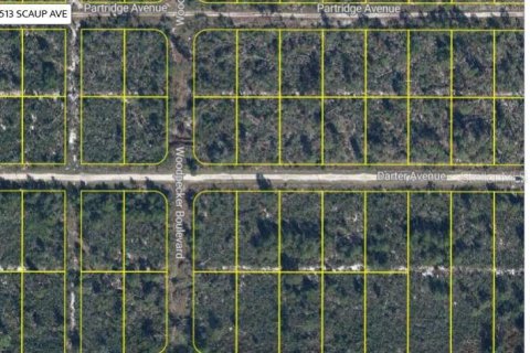 Land in Sebring, Florida № 2165189 - photo 3