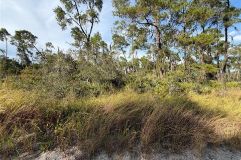 Land in Sebring, Florida № 2165189 - photo 2