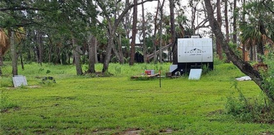 Land in Steinhatchee, Florida № 1858108