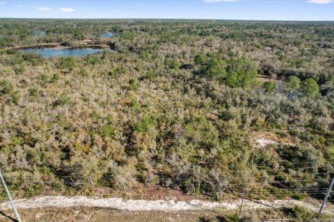 Terrain à vendre à Deltona, Floride № 1723276 - photo 4
