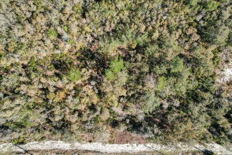 Terrain à vendre à Deltona, Floride № 1723276 - photo 6