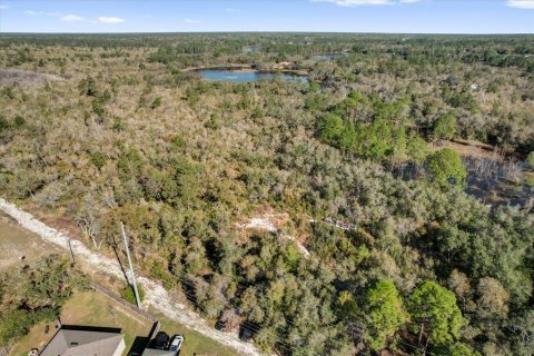 Terrain à vendre à Deltona, Floride № 1723276 - photo 1