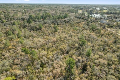 Terrain à vendre à Deltona, Floride № 1723276 - photo 12