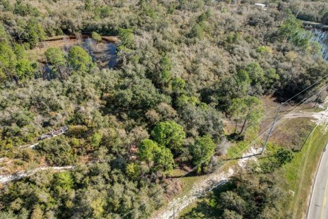 Terrain à vendre à Deltona, Floride № 1723276 - photo 29