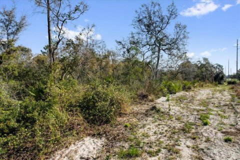 Terrain à vendre à Deltona, Floride № 1723276 - photo 23