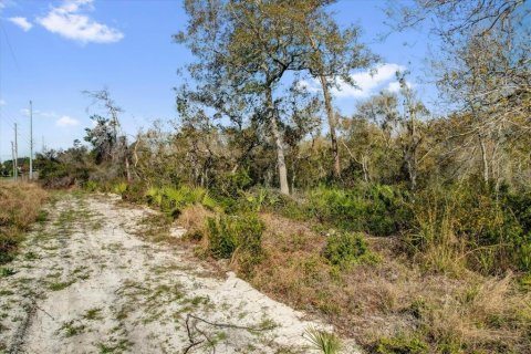Terrain à vendre à Deltona, Floride № 1723276 - photo 24