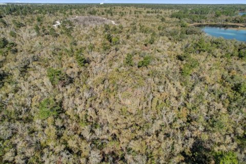 Terrain à vendre à Deltona, Floride № 1723276 - photo 15