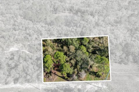 Terrain à vendre à Deltona, Floride № 1723276 - photo 26