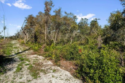 Terrain à vendre à Deltona, Floride № 1723276 - photo 25
