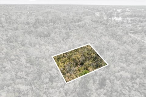 Terrain à vendre à Deltona, Floride № 1723276 - photo 10