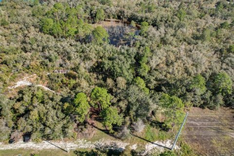 Terrain à vendre à Deltona, Floride № 1723276 - photo 28