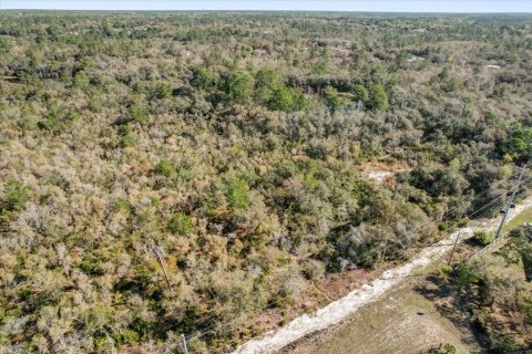 Terrain à vendre à Deltona, Floride № 1723276 - photo 5