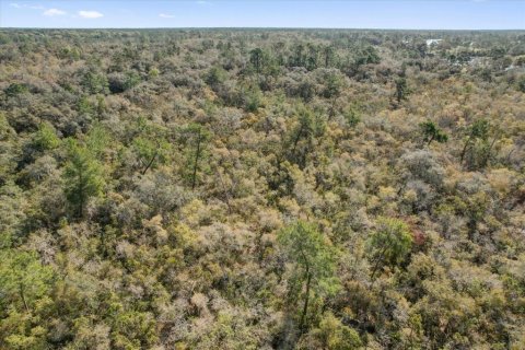 Terrain à vendre à Deltona, Floride № 1723276 - photo 22
