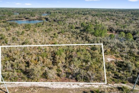 Terrain à vendre à Deltona, Floride № 1723276 - photo 3