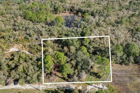 Terrain à vendre à Deltona, Floride № 1723276 - photo 27