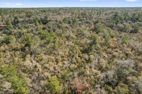 Terrain à vendre à Deltona, Floride № 1723276 - photo 21