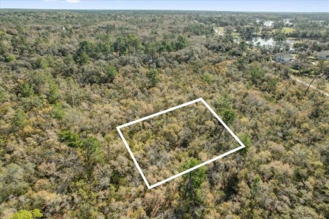 Terrain à vendre à Deltona, Floride № 1723276 - photo 11