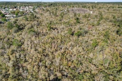 Terrain à vendre à Deltona, Floride № 1723276 - photo 14