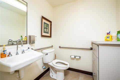 Immobilier commercial à vendre à Lady Lake, Floride: 325.99 m2 № 1107279 - photo 25