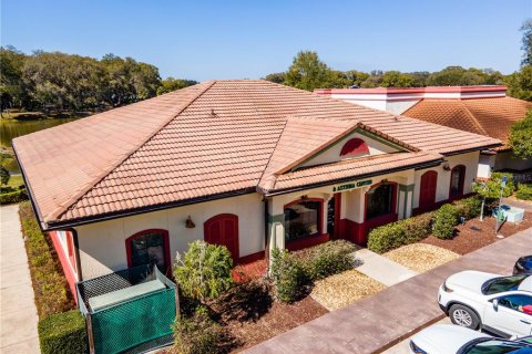 Immobilier commercial à vendre à Lady Lake, Floride: 325.99 m2 № 1107279 - photo 4