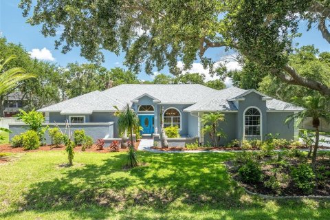 Villa ou maison à Merrit Island, Floride 3 chambres, 237.09 m2 № 2095526