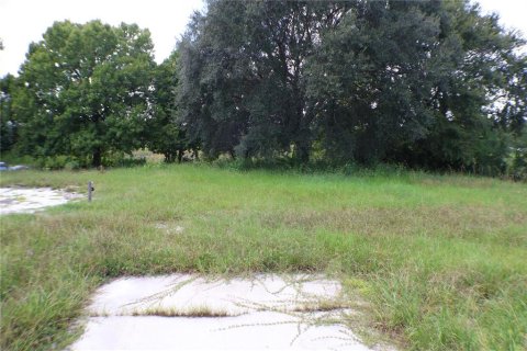 Casa en venta en Hudson, Florida, 4 dormitorios, 296.36 m2 № 1906961 - foto 24