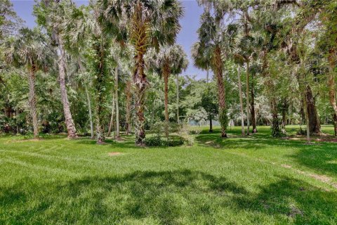 Land in Longwood, Florida № 1744788 - photo 20