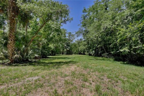 Land in Longwood, Florida № 1744788 - photo 12