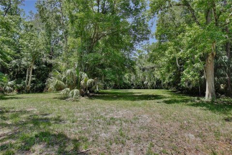 Land in Longwood, Florida № 1744788 - photo 14