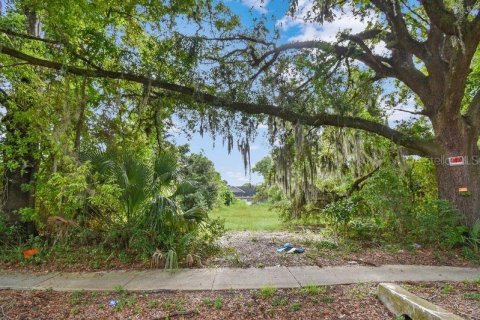 Land in Jacksonville, Florida № 2379490