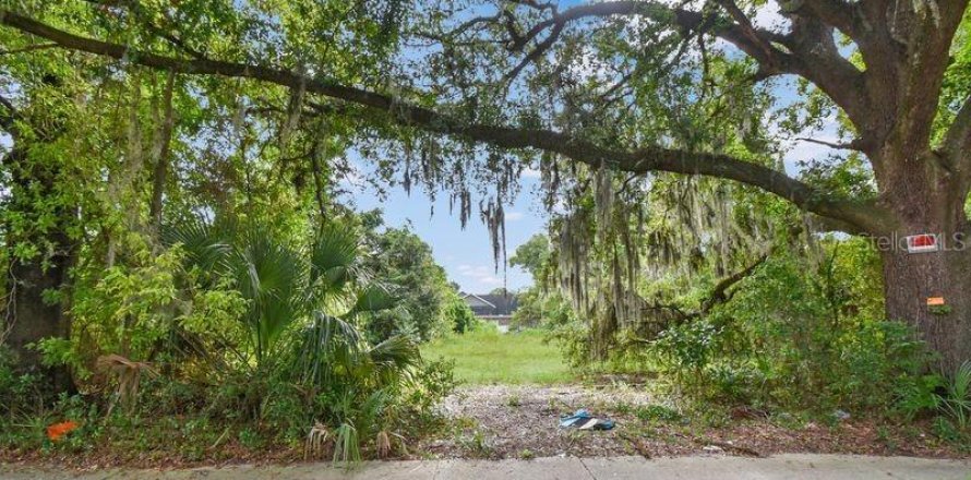 Land in Jacksonville, Florida № 2379490