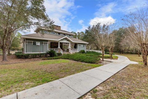 Terreno en venta en Newberry, Florida № 1323768 - foto 8