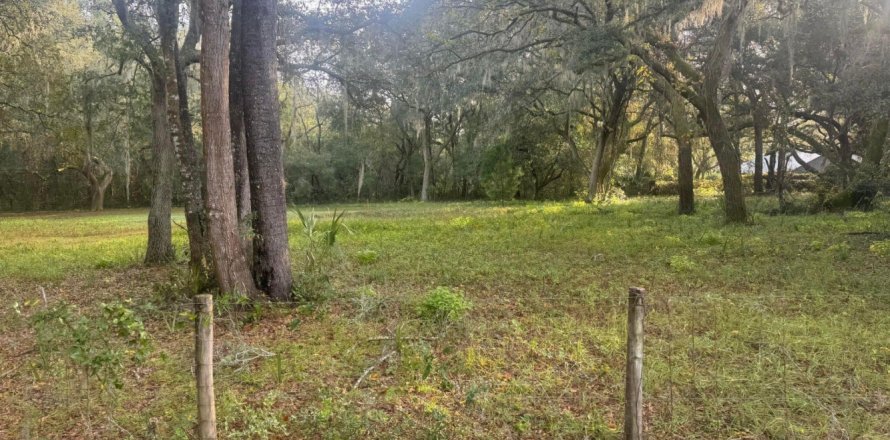 Land in Florahome, Florida № 772924