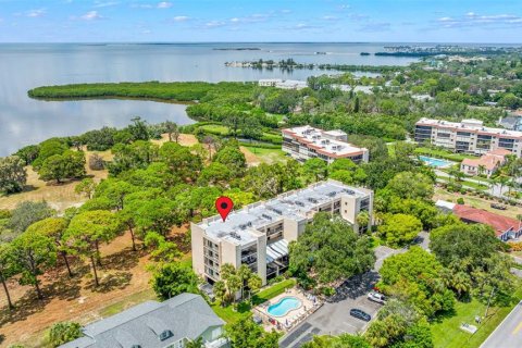 Condo in Tarpon Springs, Florida, 1 bedroom № 2105436 - photo 21