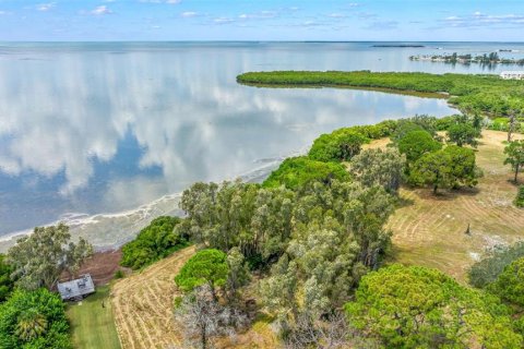 Condo in Tarpon Springs, Florida, 1 bedroom № 2105436 - photo 23
