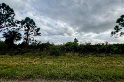 Land in Port Charlotte, Florida № 2229547