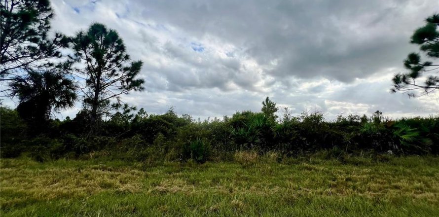 Terrain à Port Charlotte, Floride № 2229547