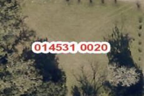 Land in Jacksonville, Florida № 885677 - photo 1