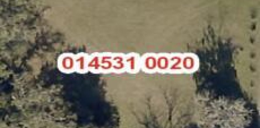 Land in Jacksonville, Florida № 885677