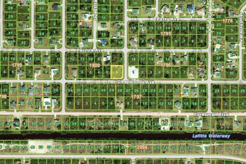 Land in Port Charlotte, Florida № 2160284 - photo 2