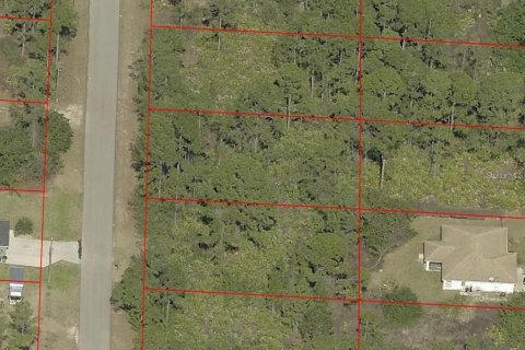 Land in Alva, Florida № 2213652 - photo 2