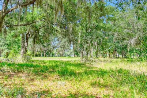 Land in Yulee, Florida № 1622985 - photo 2