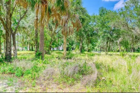 Land in Yulee, Florida № 1622985 - photo 1